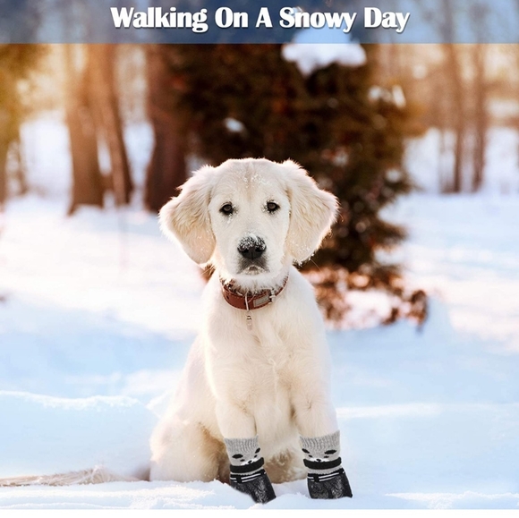 NWT Blue puppy dog waterproof shoes size M - Picture 7 of 9